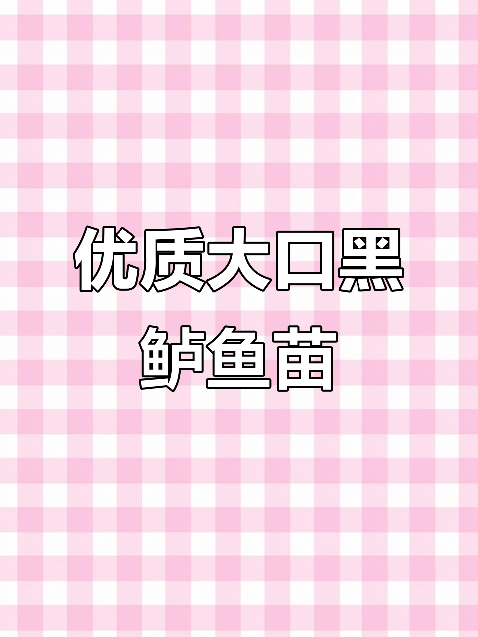 大口黑鲈鱼苗批发,优质淡水鱼类养殖致富新选择