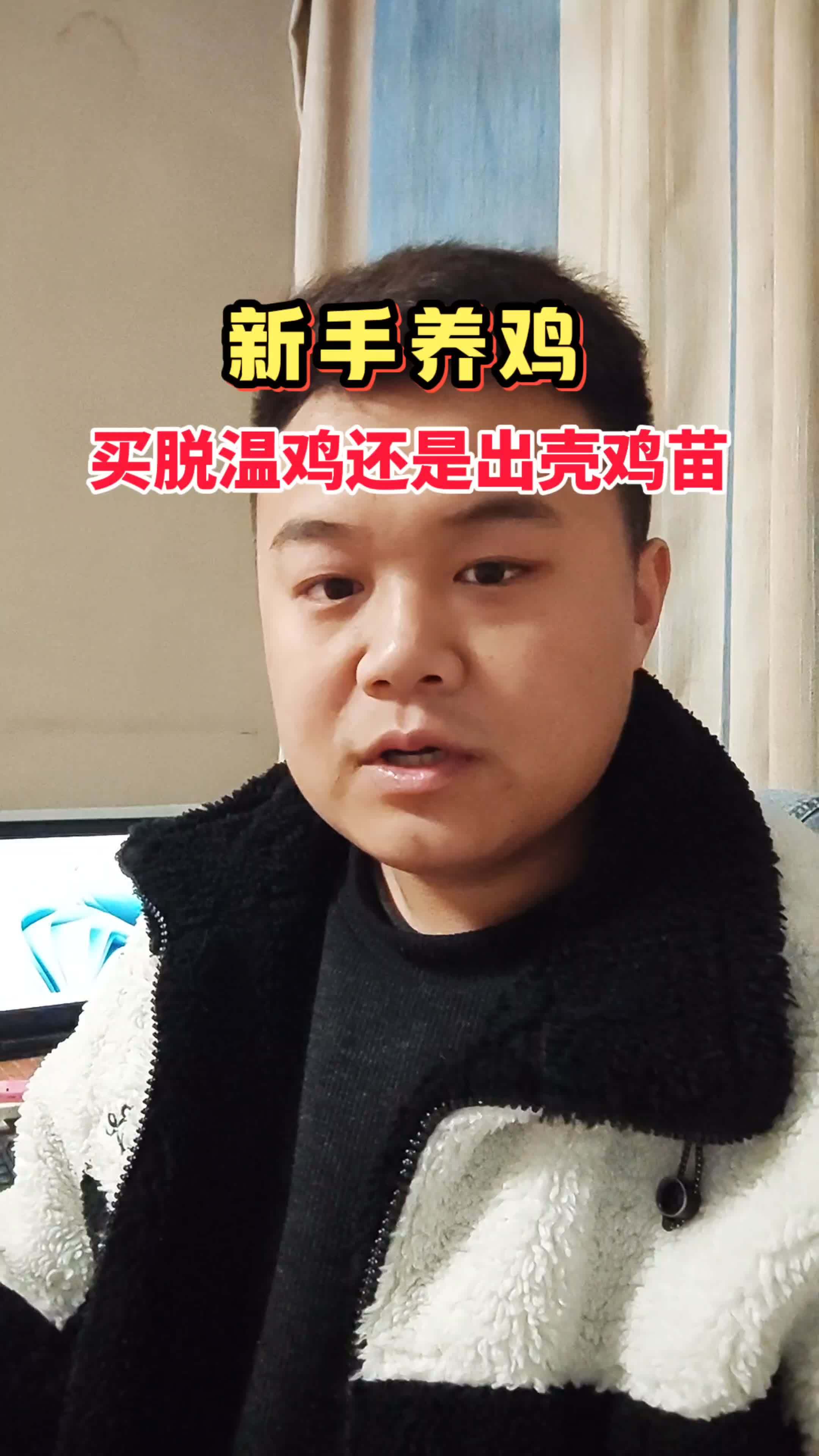 养鸡 生态散养土鸡 养鸡技术 农村散养土鸡 散养土鸡