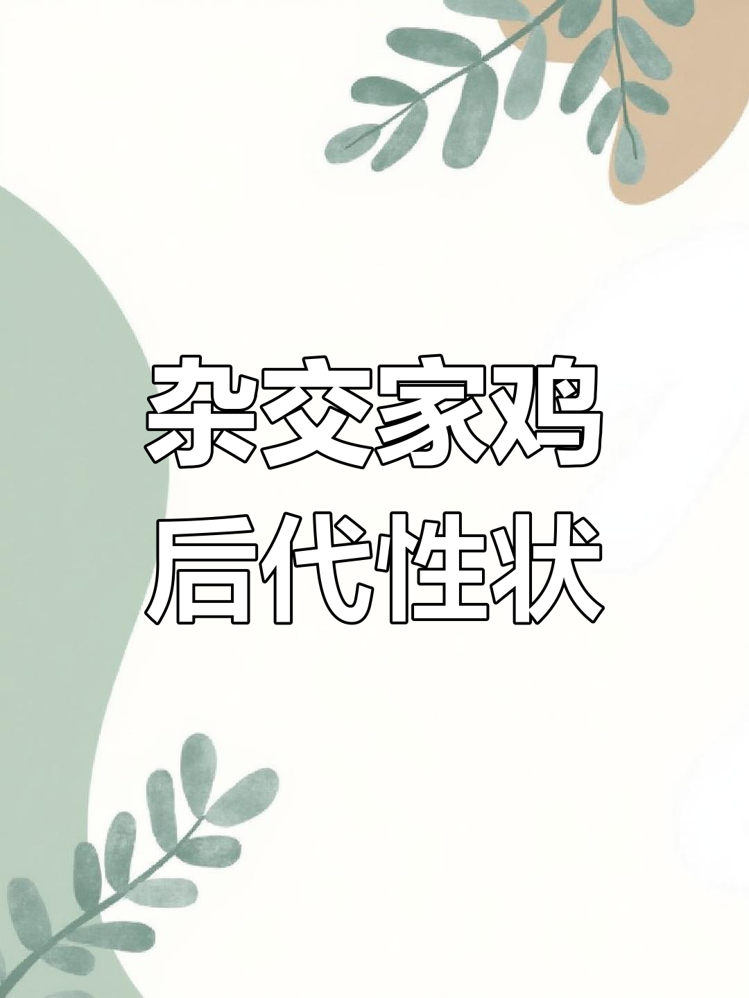 家鸡与野鸡杂交的后代特征