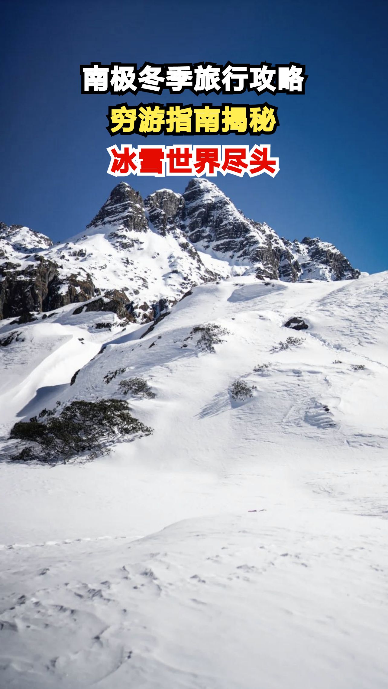 南极穷游攻略大公开,如何用一本书的价格玩转冰雪世界?