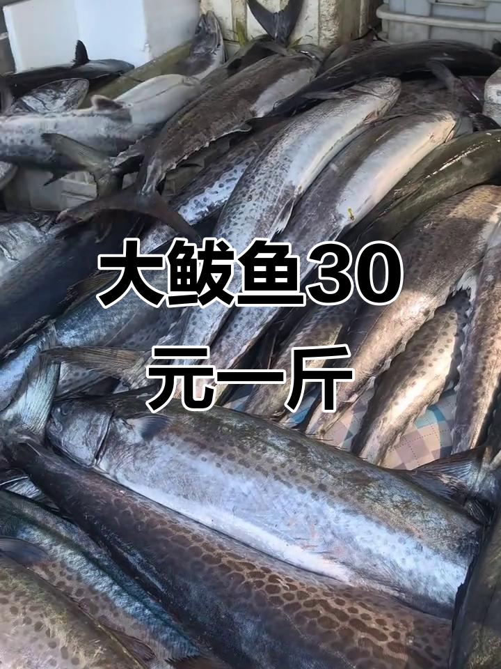 30元一斤大鲅鱼,快来抢购!