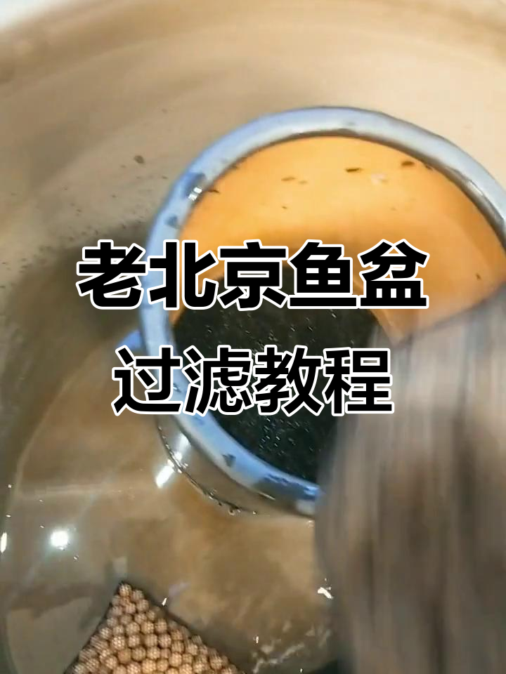 自制老北京鱼盆过滤器全解析,打造完美水循环系统