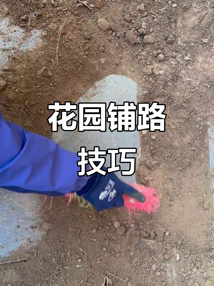 花园铺路大变身,青石板与植物完美融合
