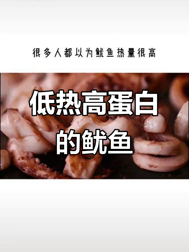 鱿鱼热量低,减肥必吃!蛋白质丰富,脂肪少