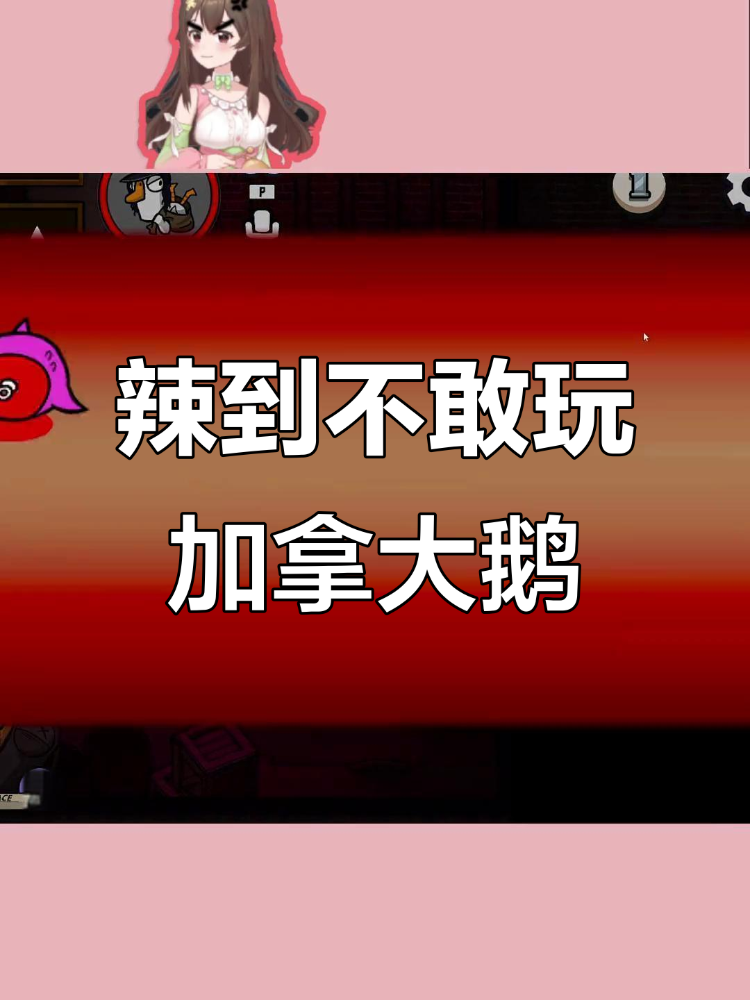 加拿大鹅游戏太刺激，女主播差点被“吃”掉！