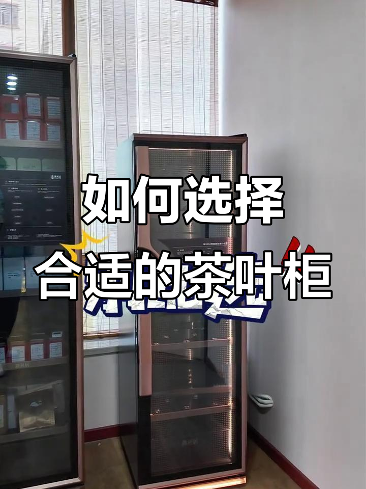 选对茶叶柜,存茶更香!白茶、黑茶、普洱如何挑选?