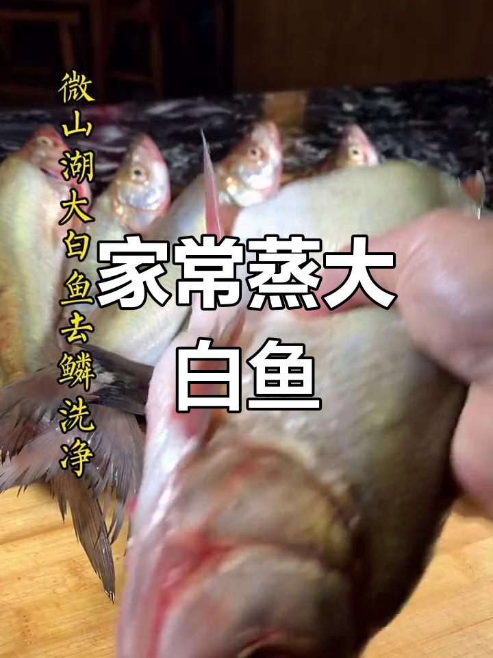 微山湖大白鱼的家常做法,唤醒故乡味道