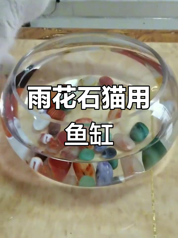用雨花石打造猫咪爱喝的鱼缸,便宜又好看