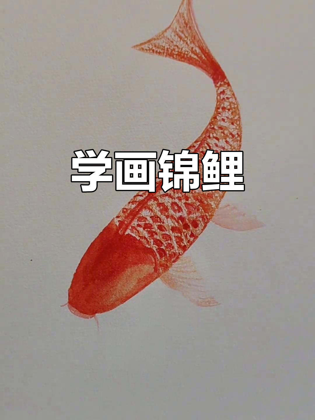 轻松学画锦鲤鱼,感受国画的意境之美