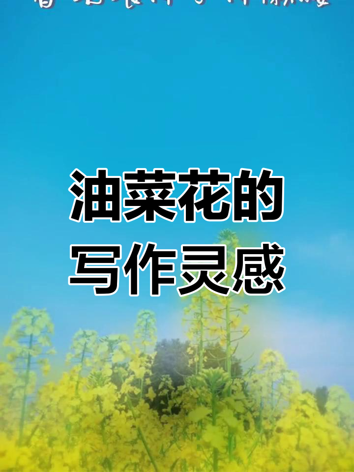 引导孩子写作文,油菜花成了他们的朋友,分享创意小妙招!