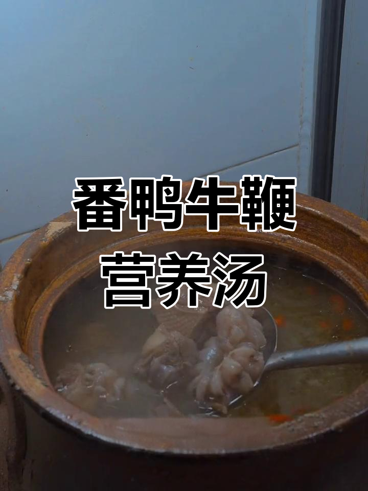 牛鞭与老斑鸭的完美炖汤,滋补又美味