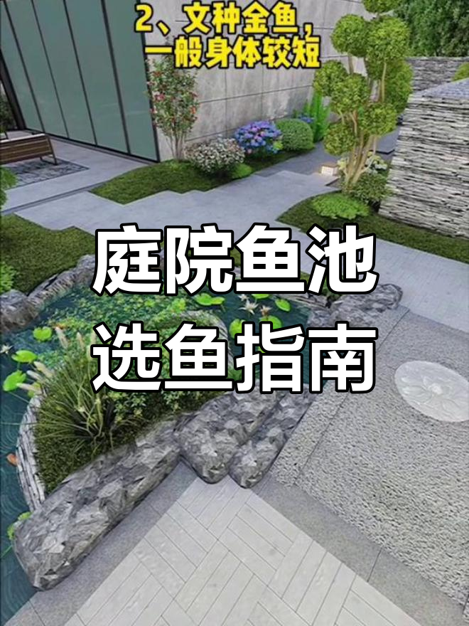庭院鱼池适合养什么品种的鱼?