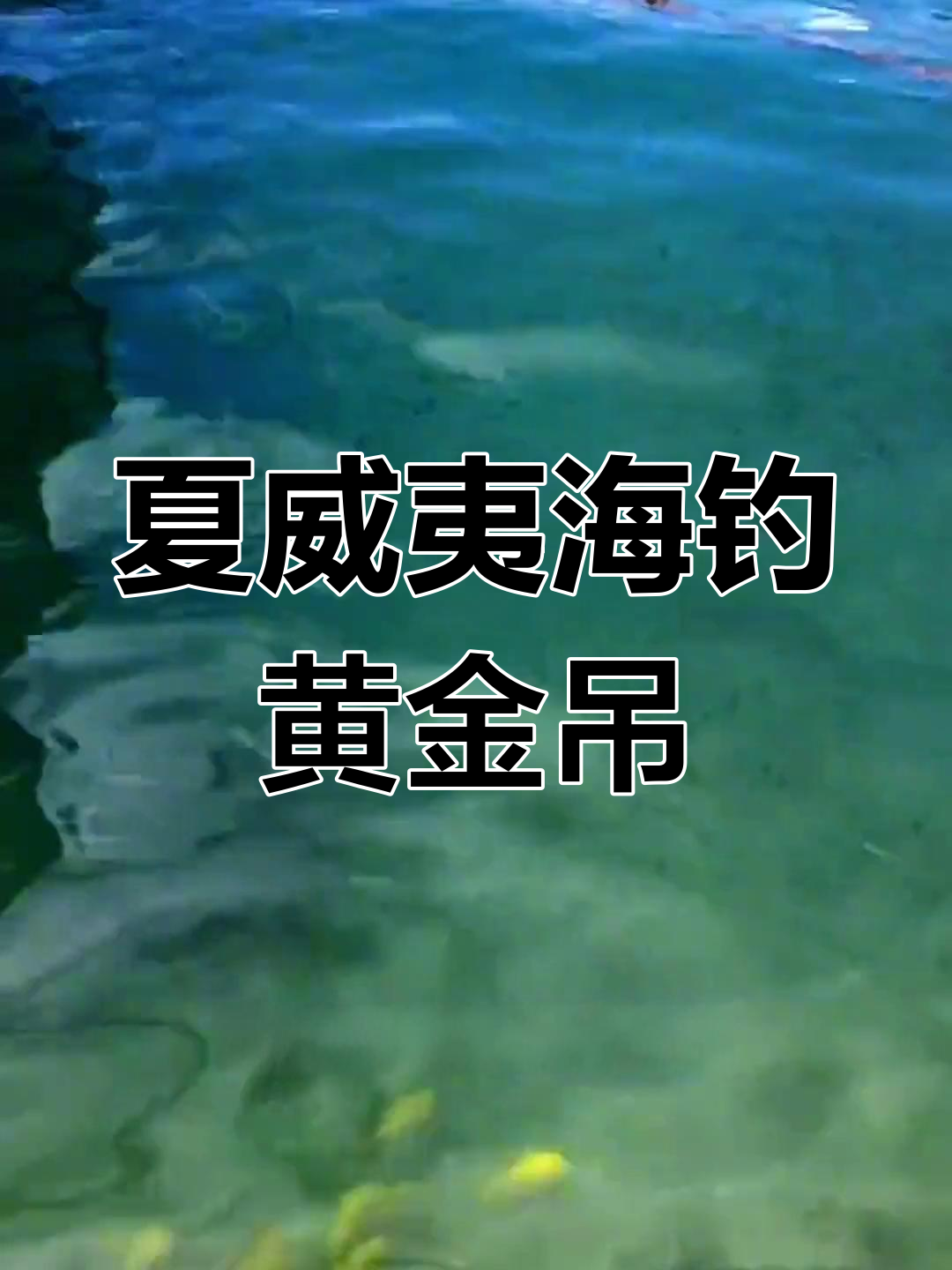 夏威夷海底黄金吊捕捞实拍