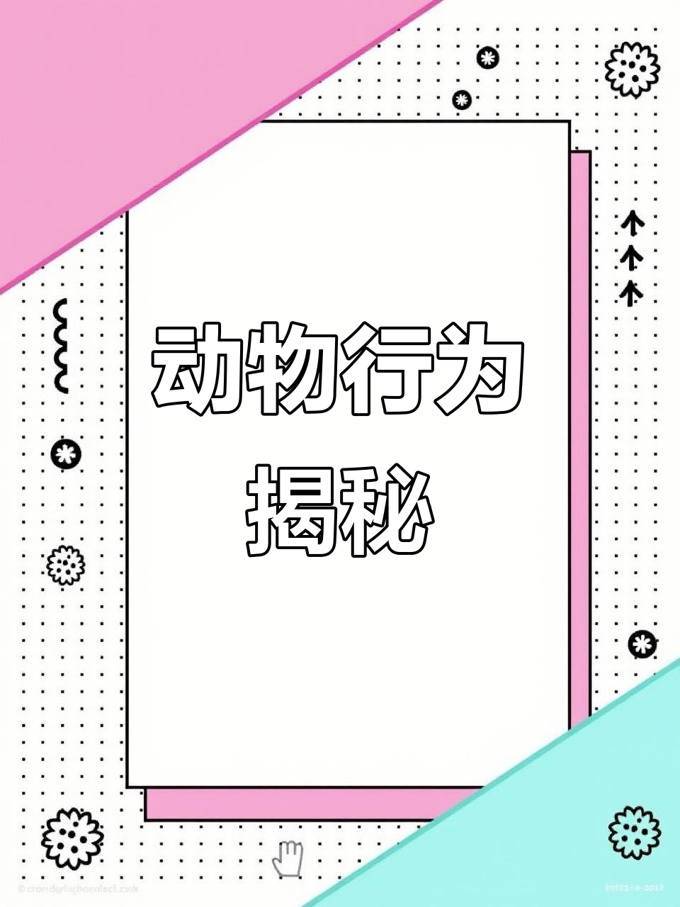 小猪真的自私,青蛙会互吃?