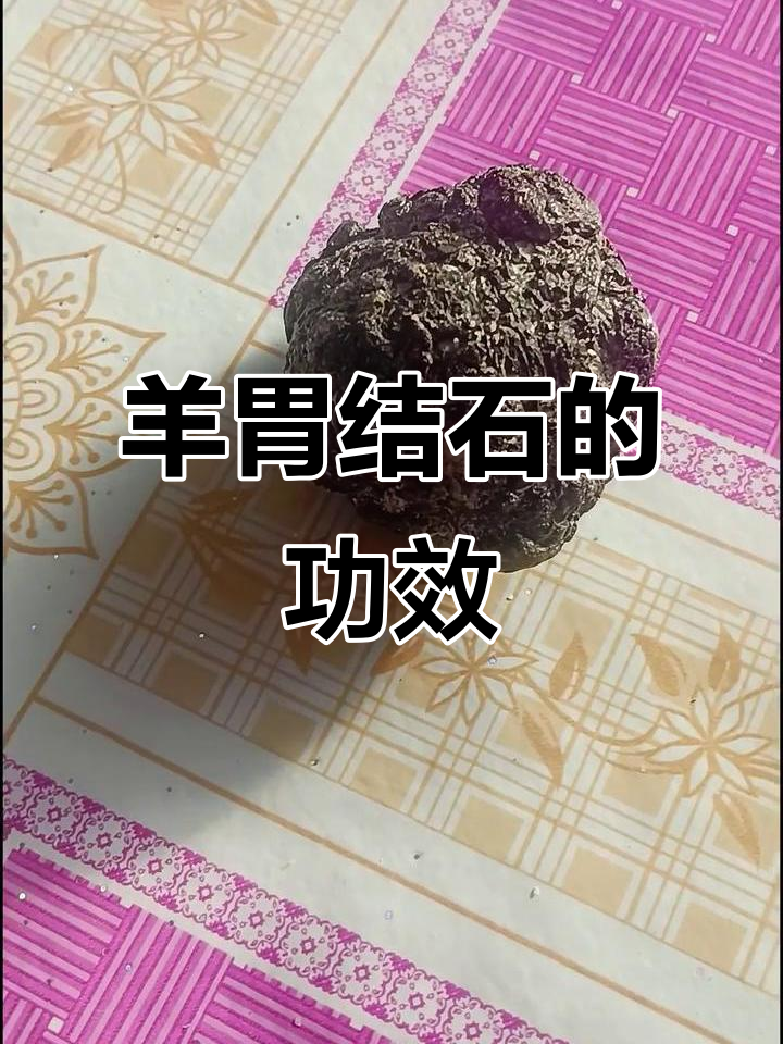 羊胃结石的神奇功效，你了解吗？