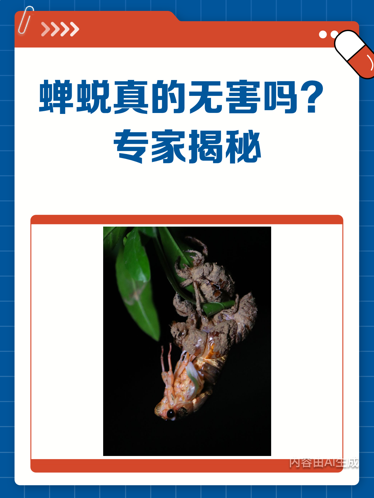 蝉蜕真的无害吗?看完这篇就懂了!