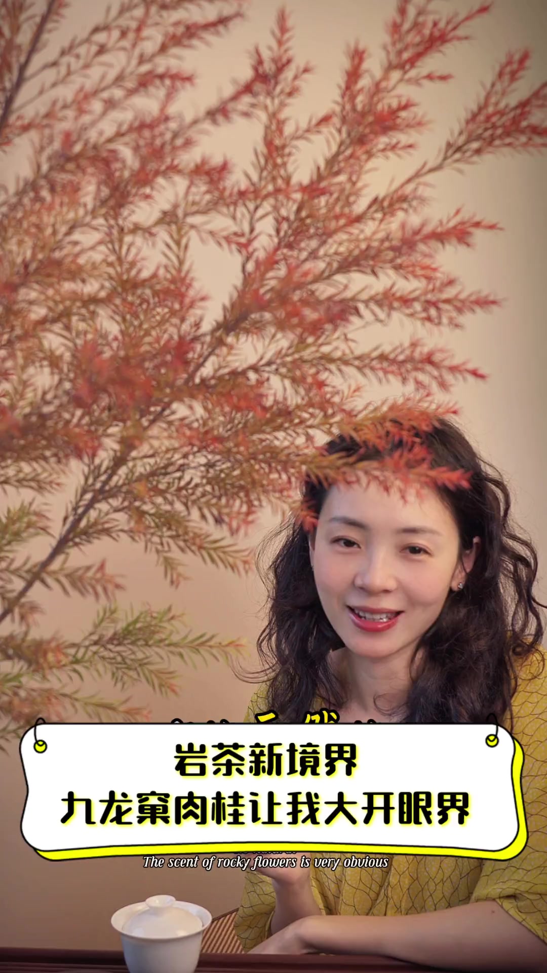 岩茶新境界,九龙窠肉桂让我大开眼界