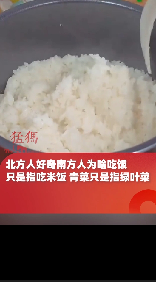 北方人好奇南方人为啥吃饭,只是指吃米饭,青菜只是指绿叶菜