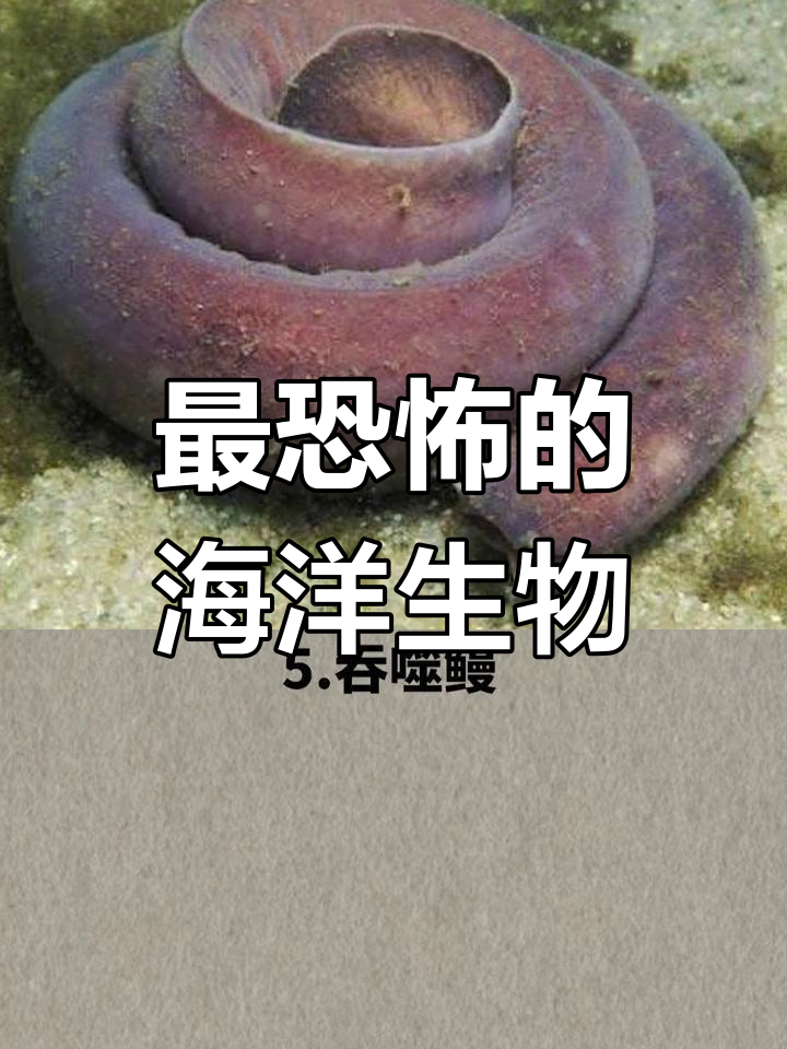 揭秘海洋十大恐怖生物,最后一种让人胆战心惊