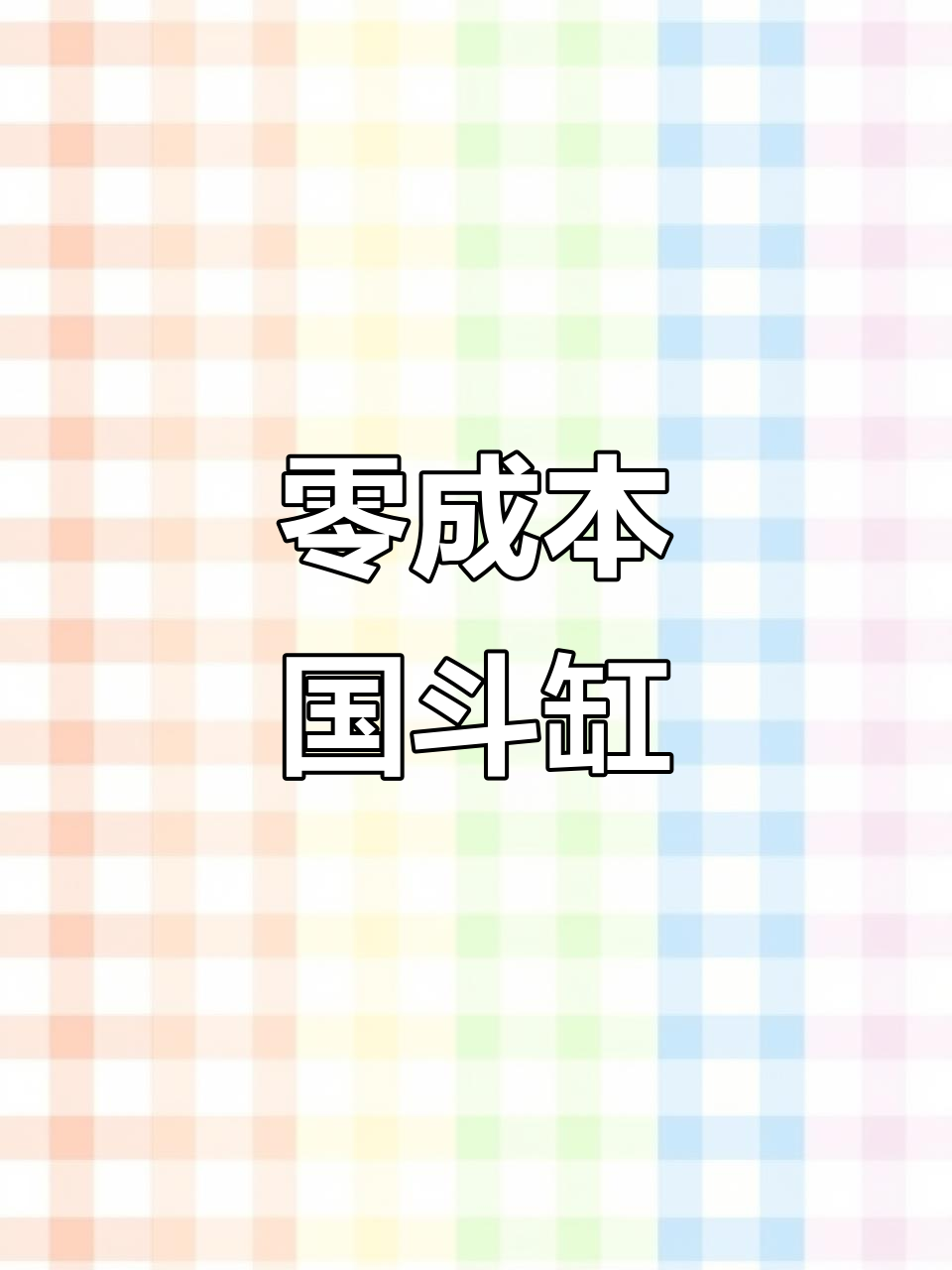 国斗鱼零成本造景，自然环境尽显，轻松饲养乐趣无穷！