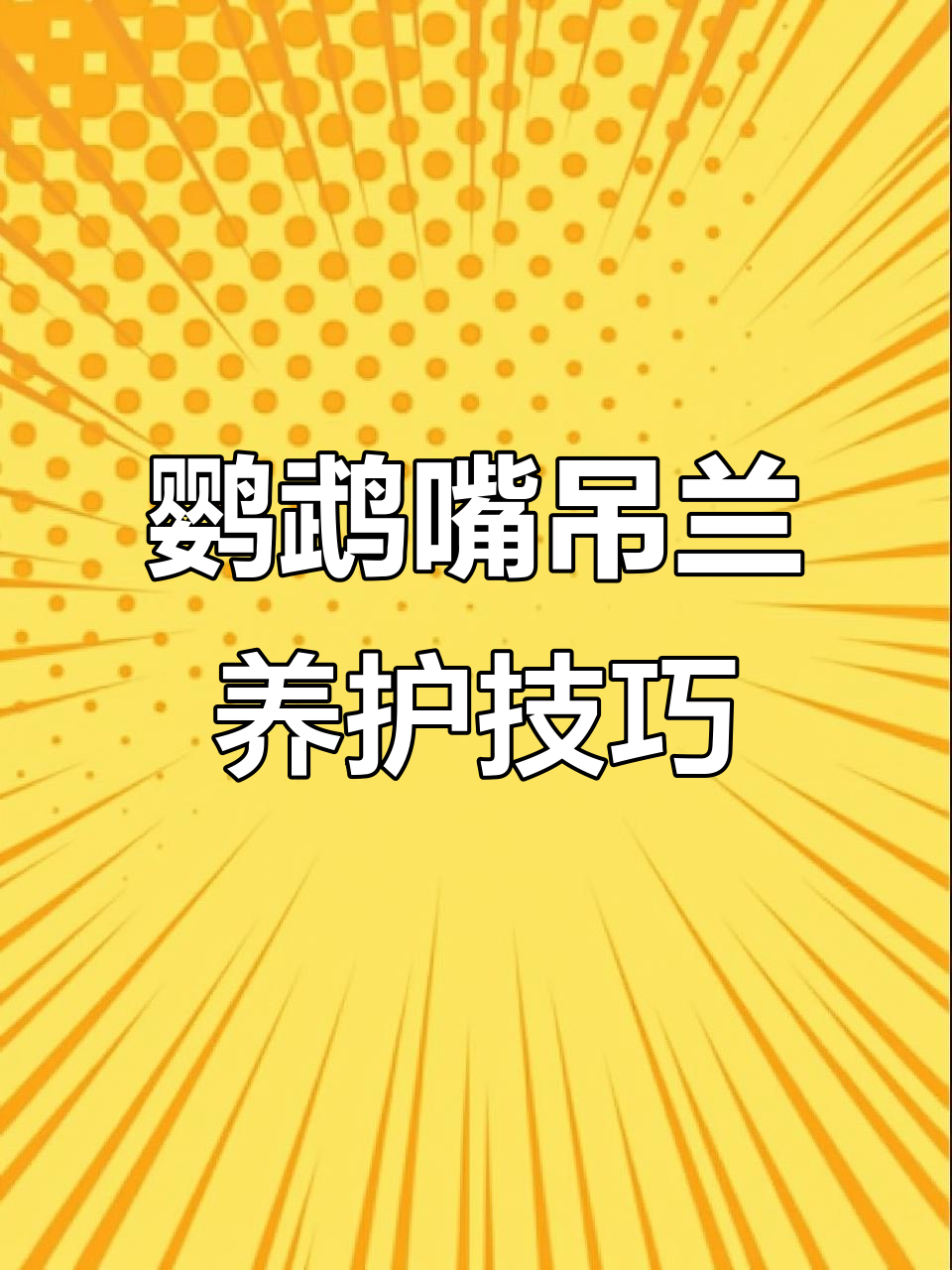 鹦鹉嘴吊兰:多年生垂钓花卉,开花如火苗般美丽