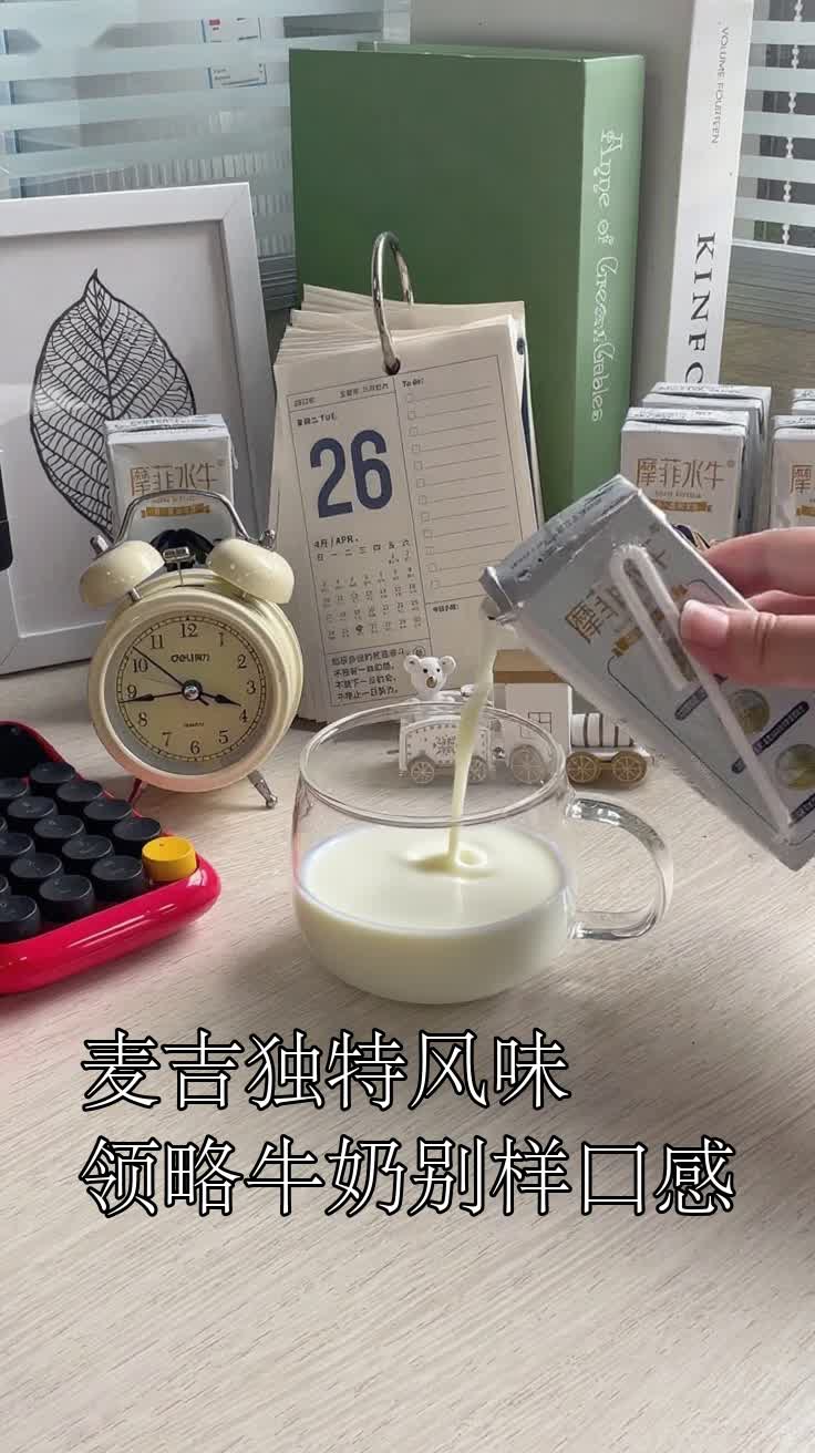 麦吉独特风味领略牛奶别样口感