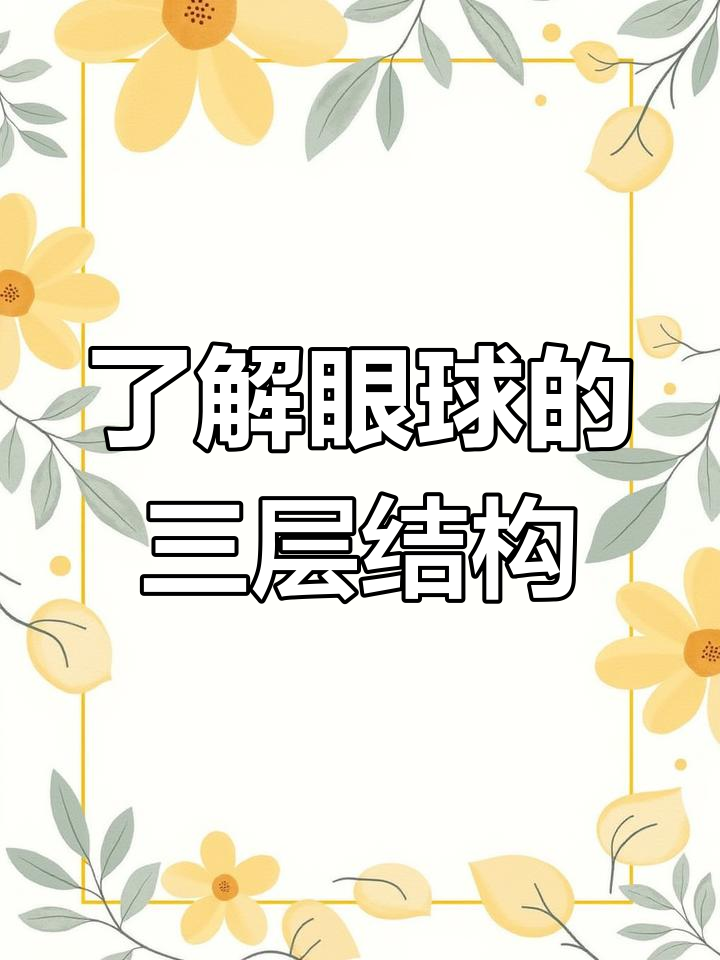 眼球结构揭秘:从角膜到巩膜的每一层