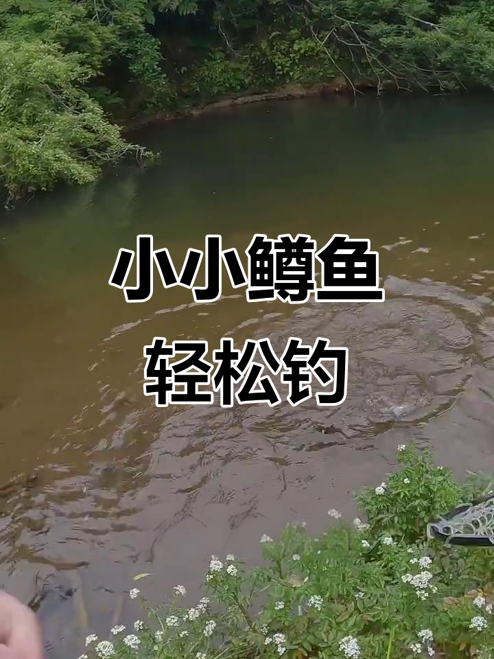 特种兵钓鱼路线,惊险连连中鱼!