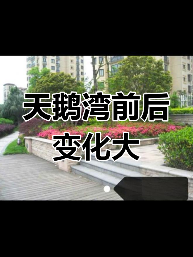 余姚天鹅湾昔日风采与万和物业破坏后的对比,差距一目了然