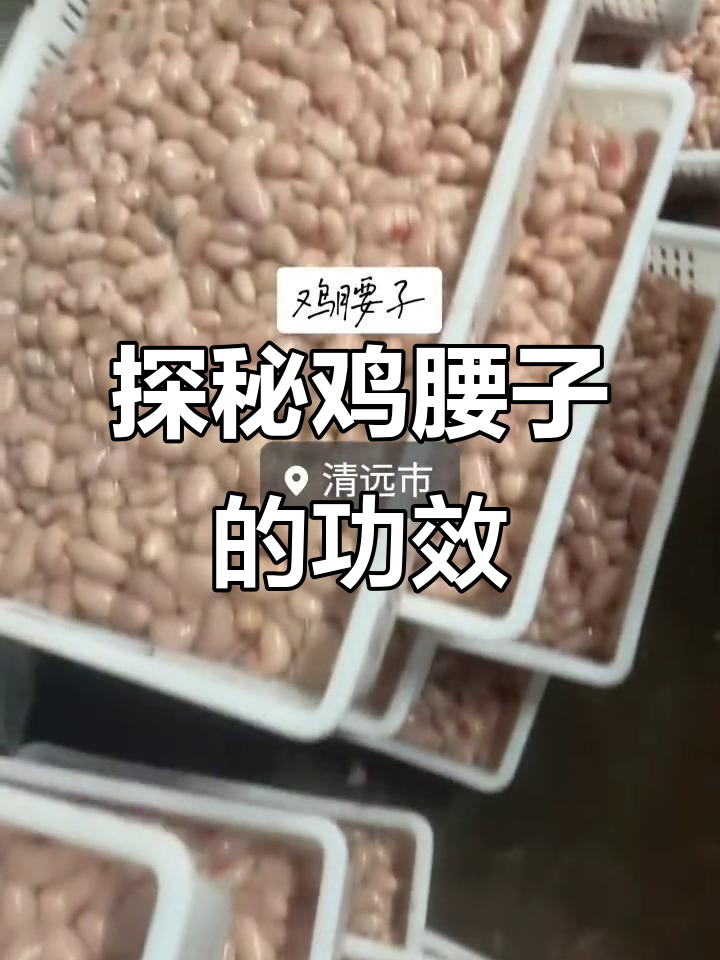 鸡腰子现场实拍,了解其独特功效与作用