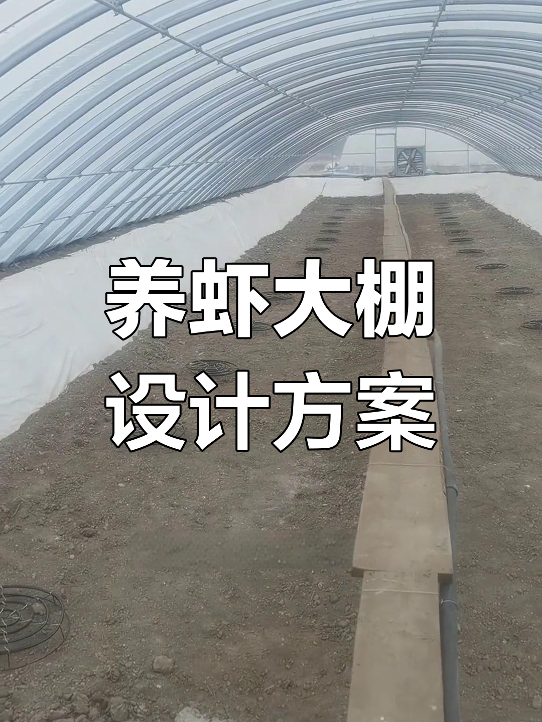 天津宁和22栋养虾大棚设计解析