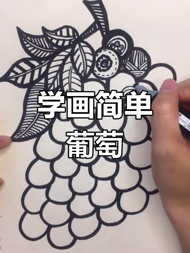 黑白线条画技巧:葡萄简笔画教程