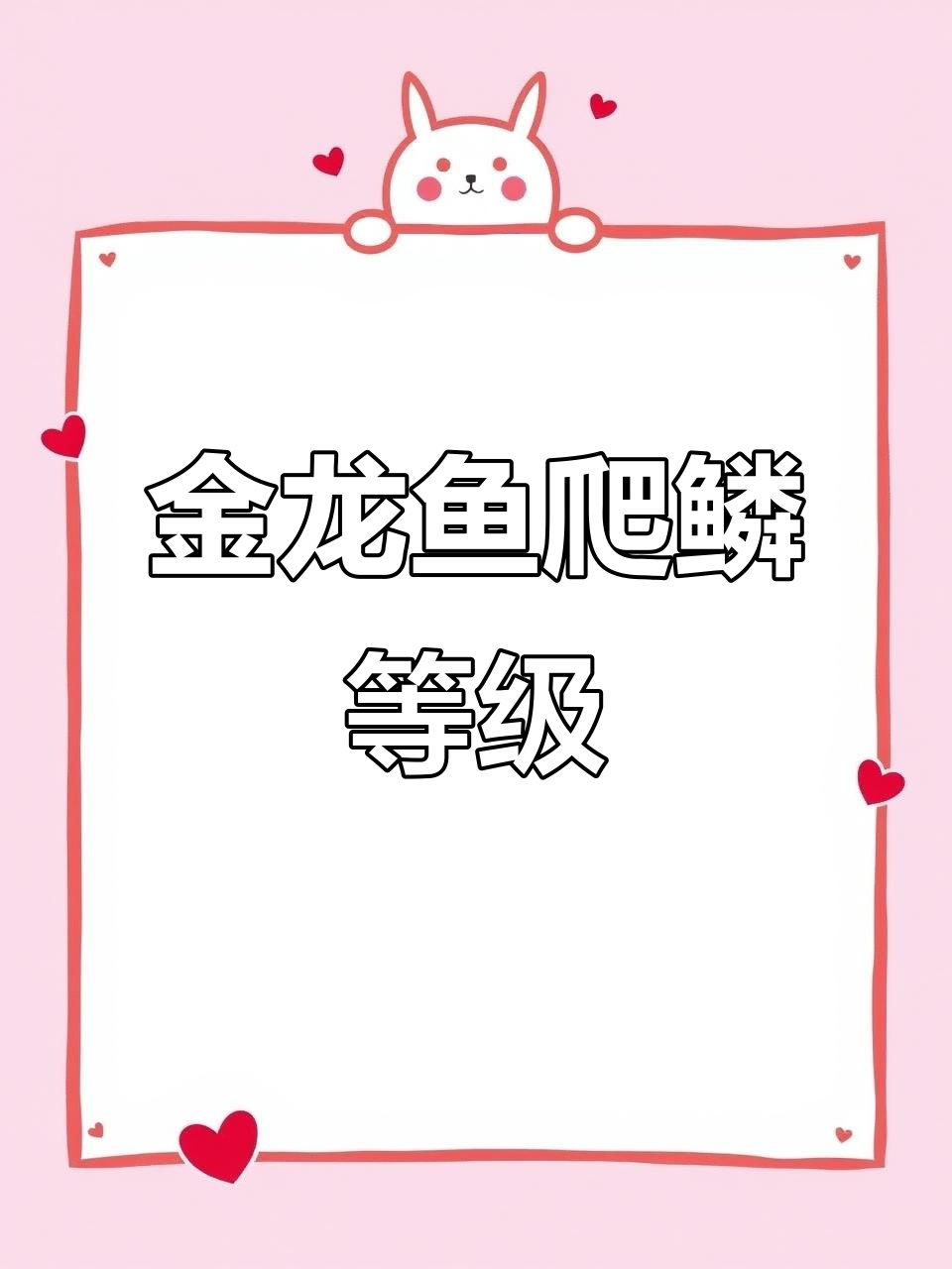 金龙鱼爬鳞品级全解析：从珠鳞到高背的演变