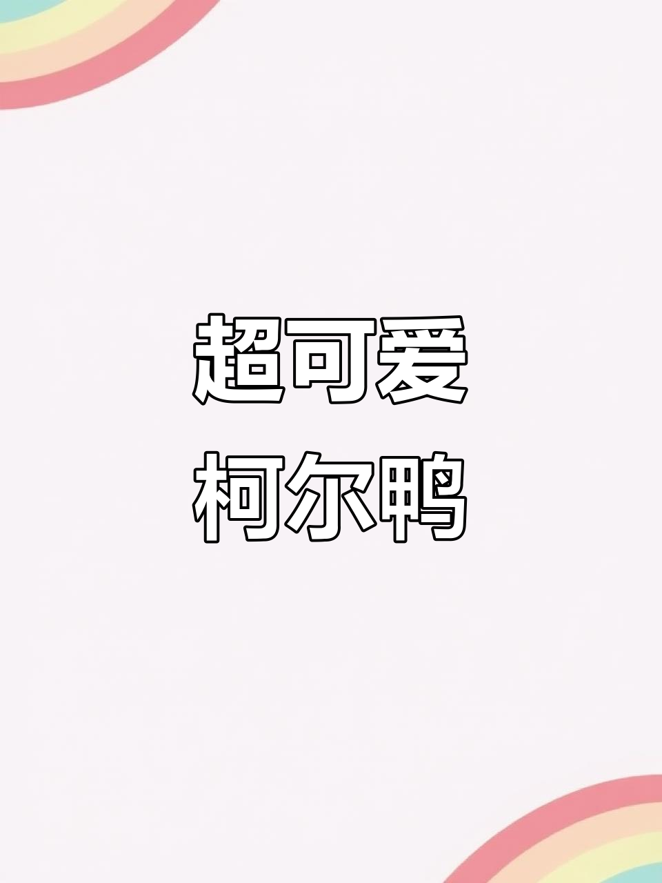 柯尔鸭:雪白宠物,超萌又易照顾