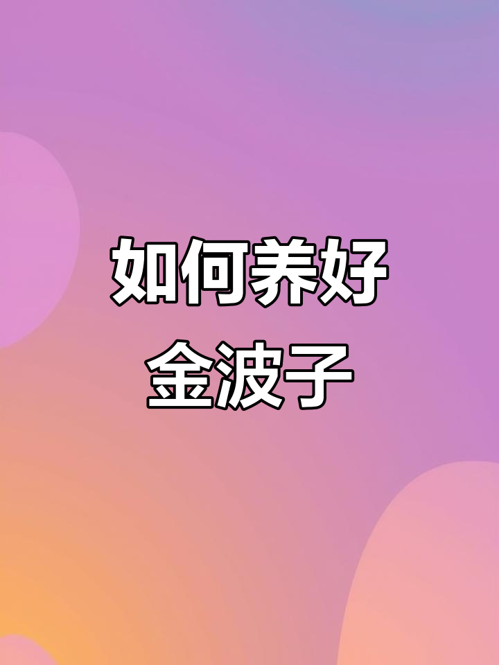 金波子养殖技巧:水质、水温、喂食全攻略