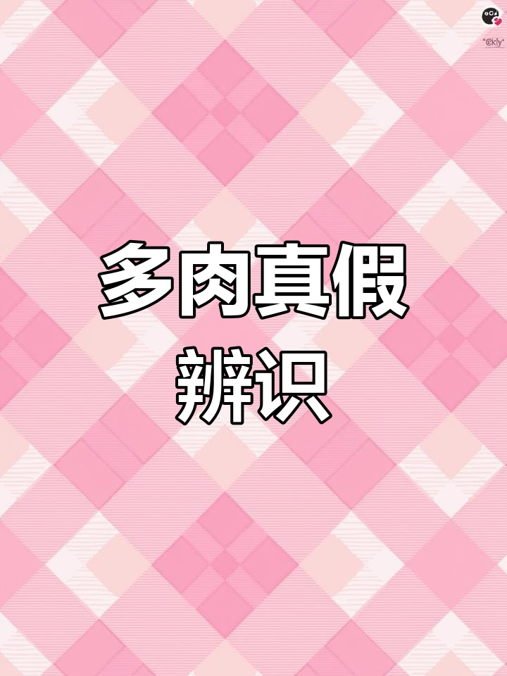 多肉状态真假辨别,药锦轻松识别!