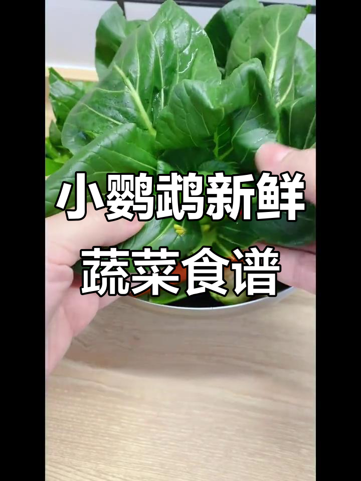 小鹦鹉鲜食大餐,黑青菜搭配冻干蛋黄