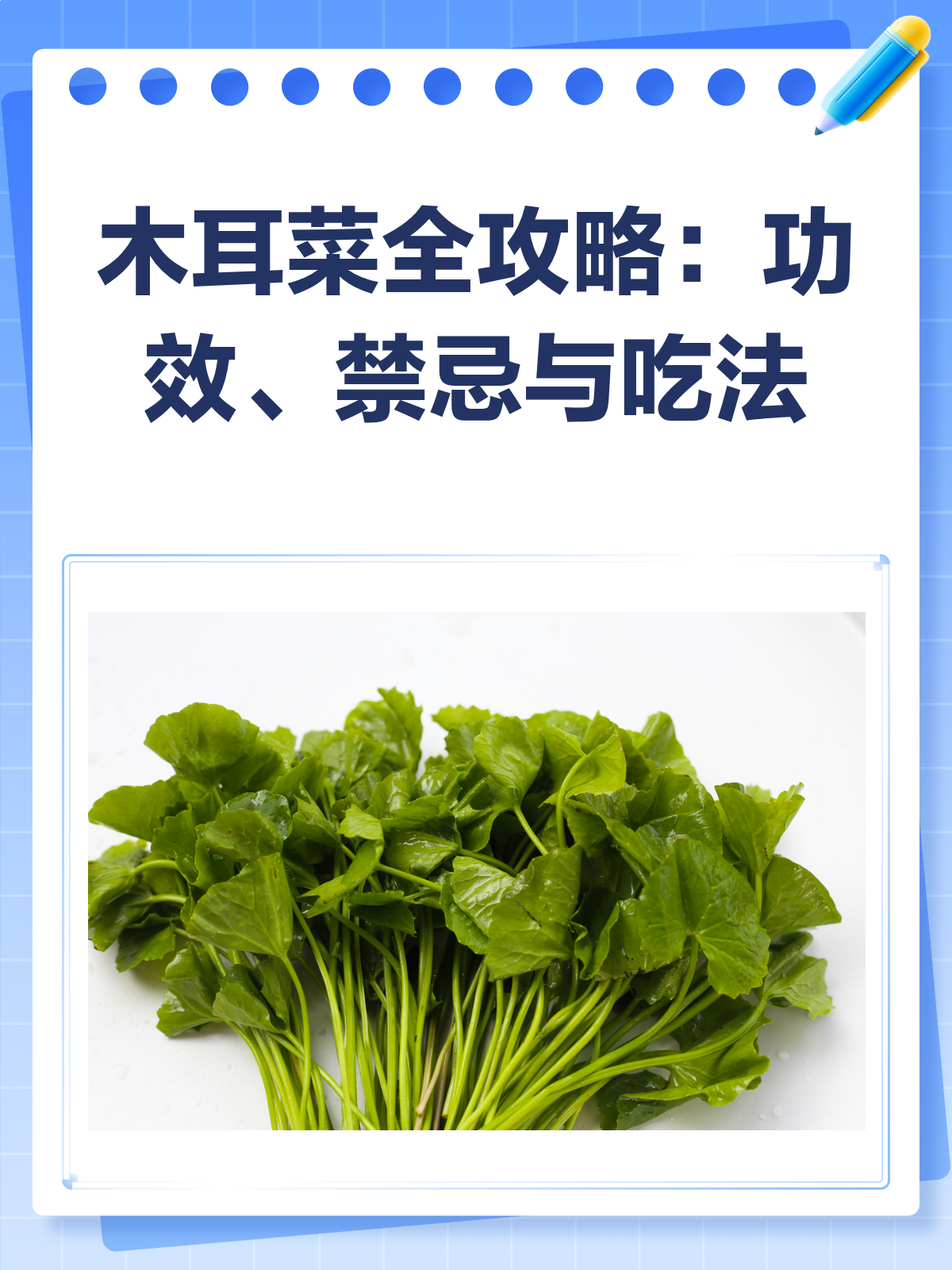 木耳菜,你吃对了吗?功效、禁忌全解析