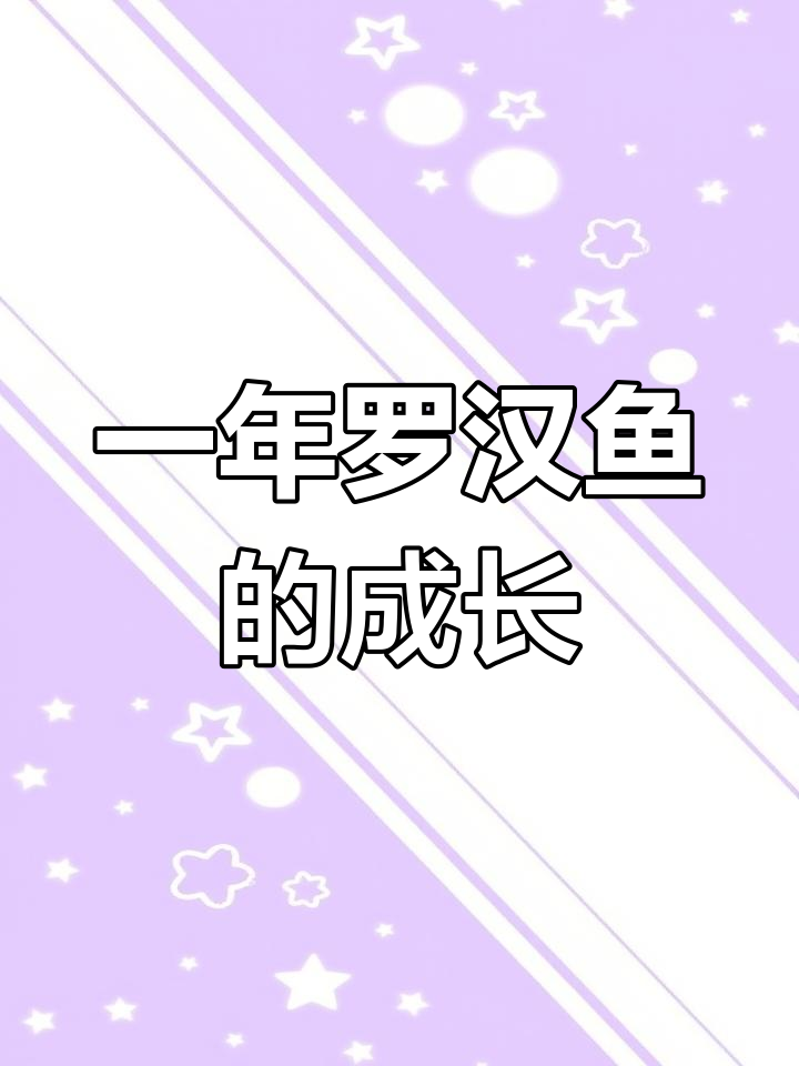 罗汉鱼从出生到成年的成长全过程,带你见证它的变化