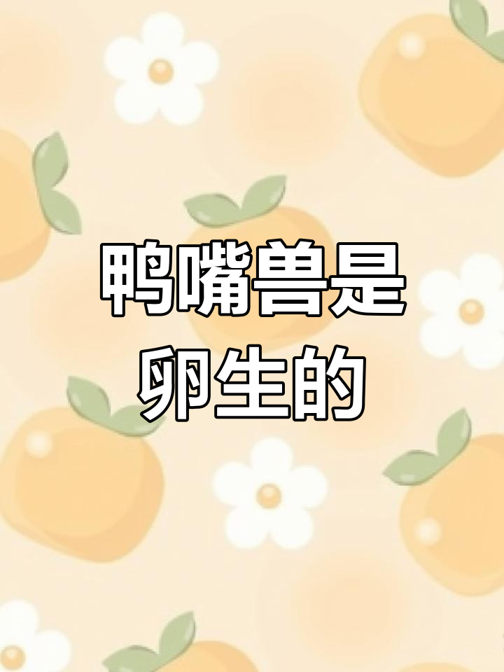 鸭嘴兽:卵生哺乳动物的独特之处