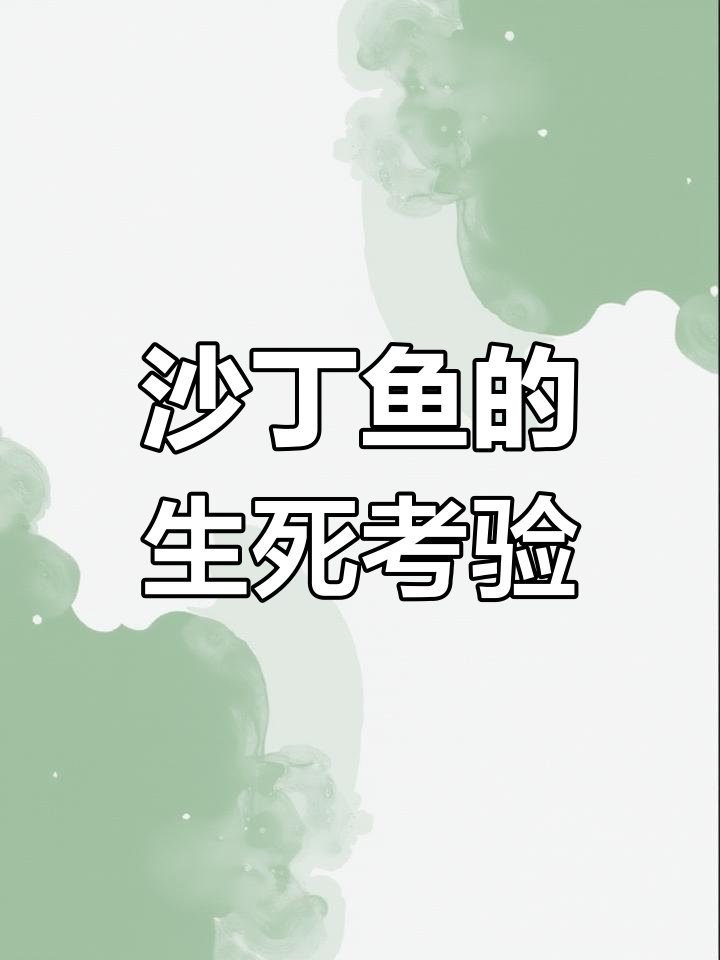 鲶鱼效应:如何激发团队活力,打破安于现状的困境