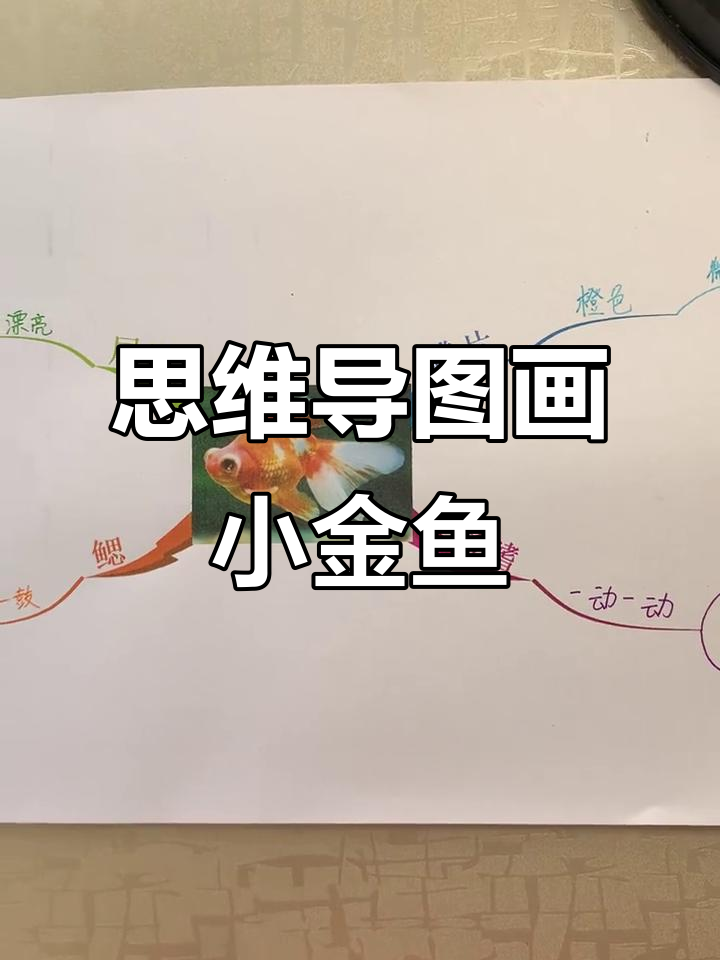 用思维导图写小金鱼文段，轻松掌握细节描写