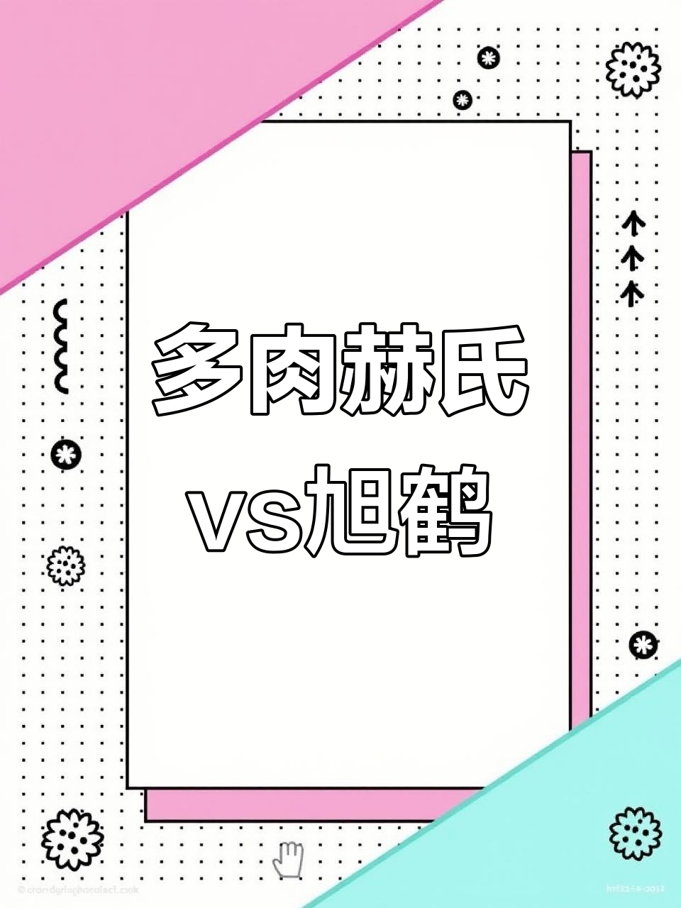 2024年12月9日鹤氏与旭鹤多肉品种颜色对比