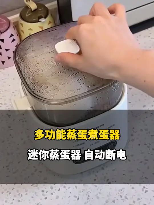 多功能煮蛋器，全自动预约早餐机，自动断电，简直不要太方便