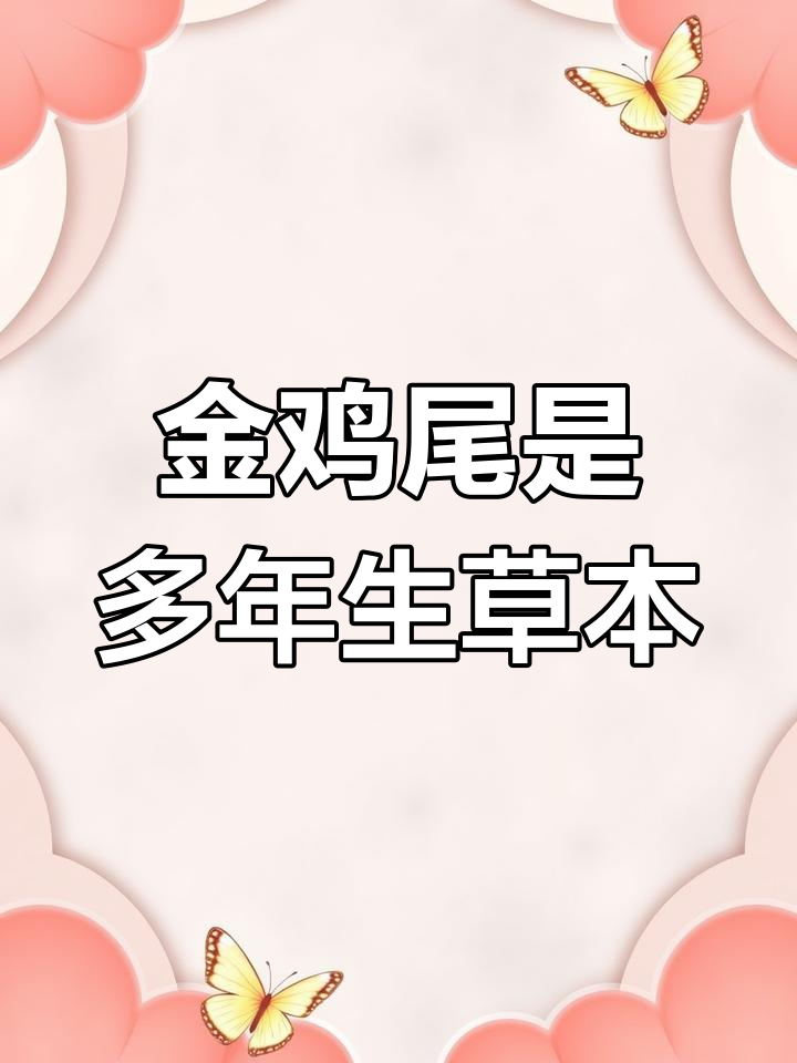 金鸡尾:骨碎补科草本植物,肾蕨属的独特魅力