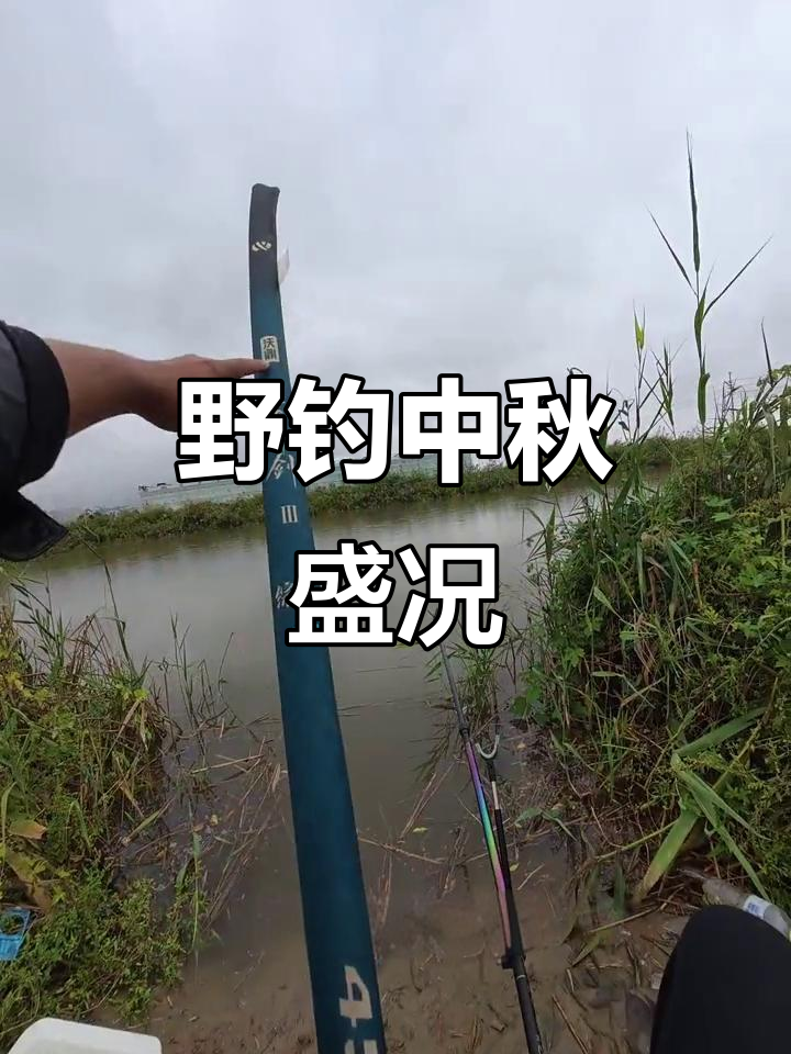 中秋夜钓鲫鱼,大板与螃蟹齐上阵!