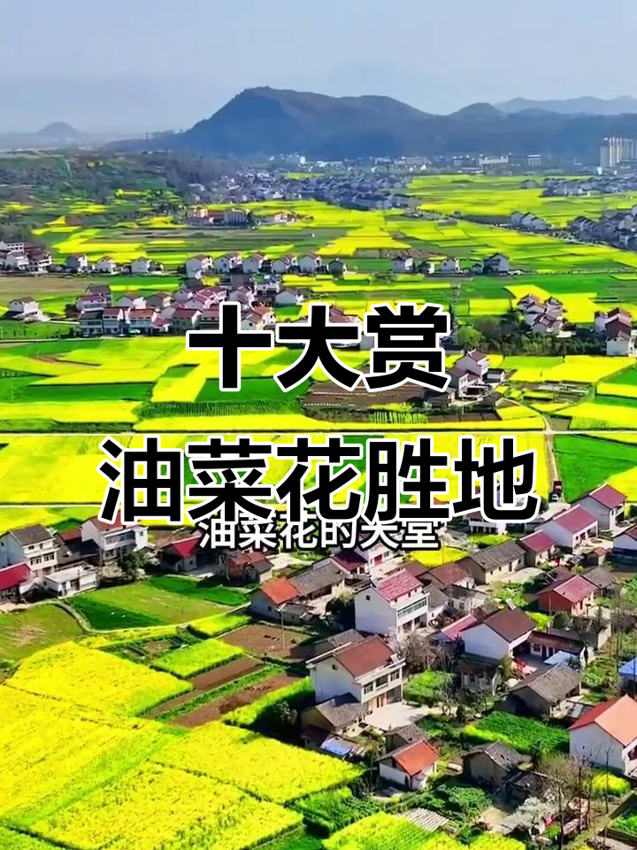 中国十大最美油菜花打卡地,春天里的金色画卷