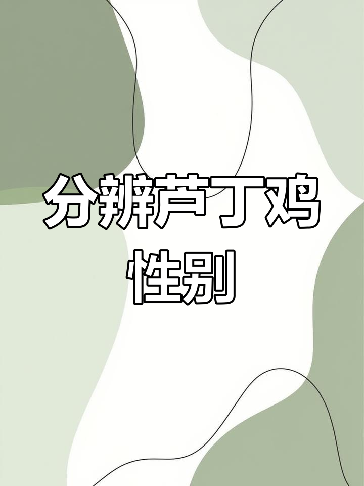 轻松分辨芦丁鸡公母,掌握技巧