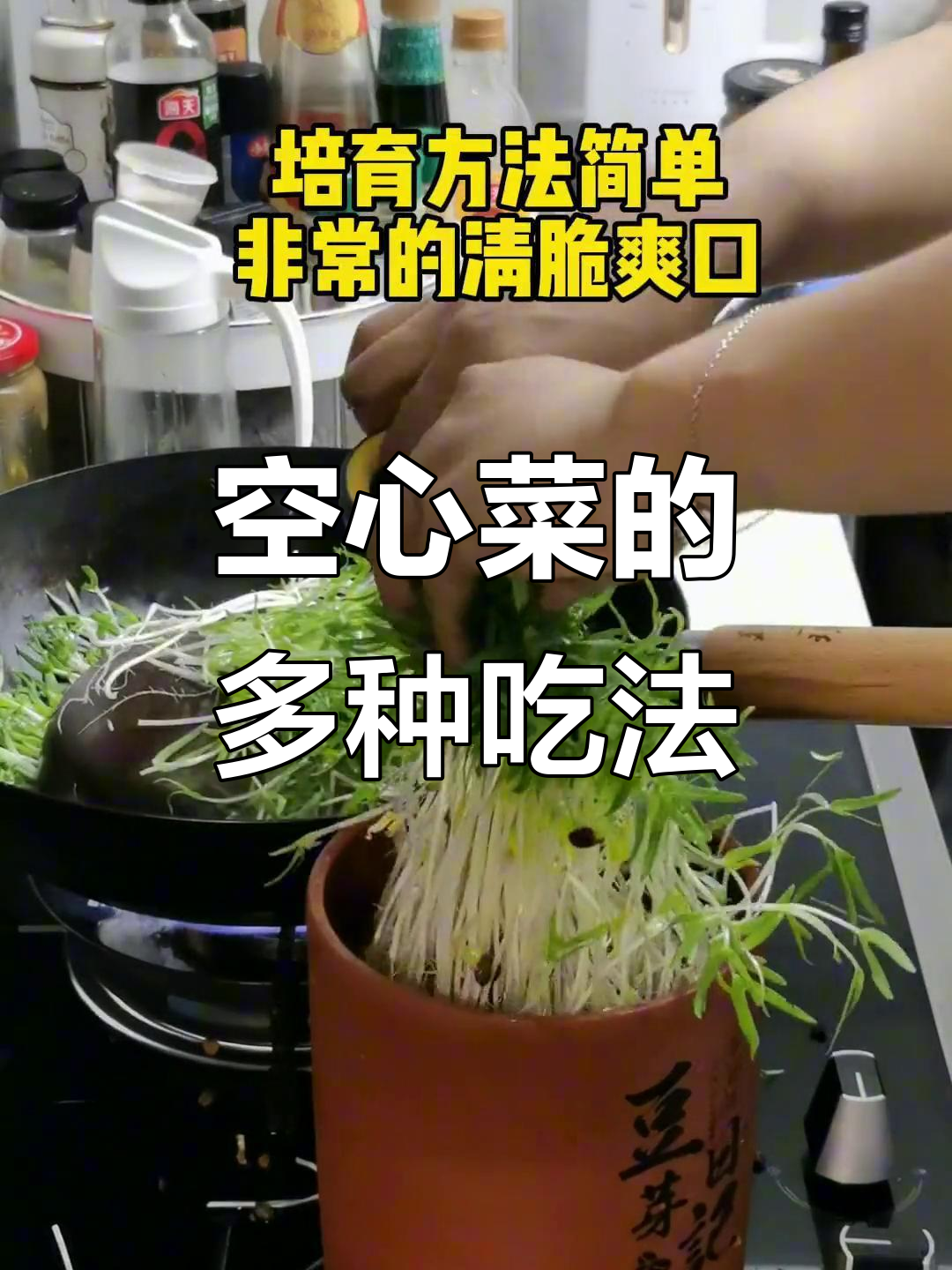 小叶空心菜炒或沙拉都美味,下次尝试更多做法!