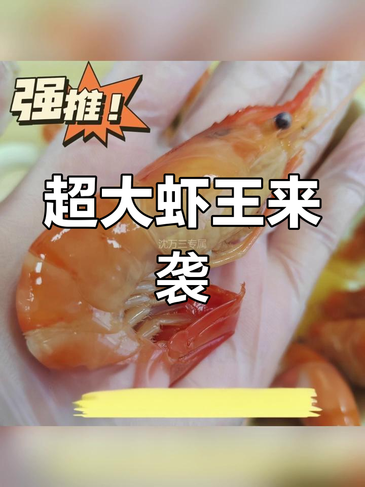 沈万三熟醉虾,超大罗氏沼虾网惊呆顾客!